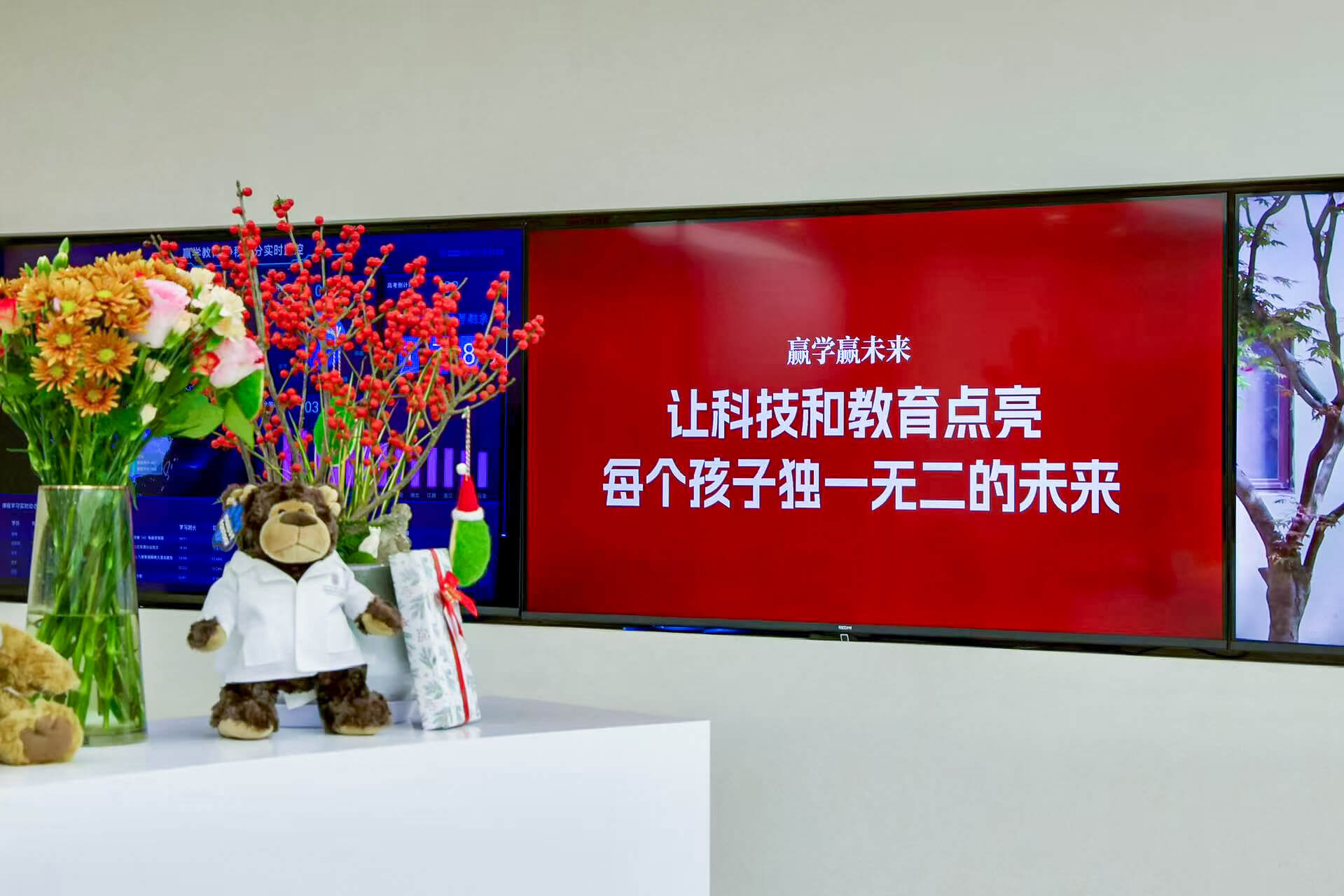仰星环境2